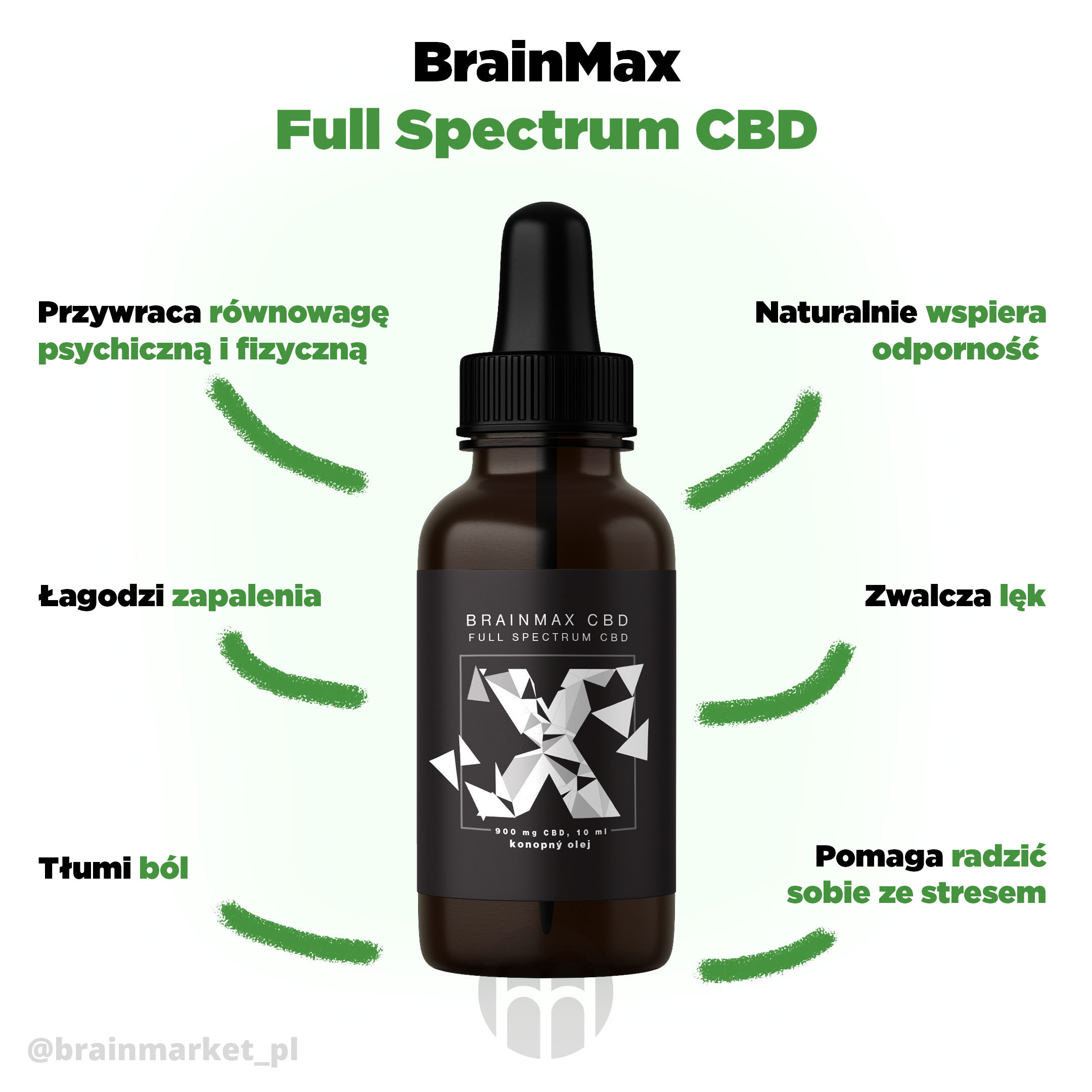 cebede full spectrum infografika brainmarket PL